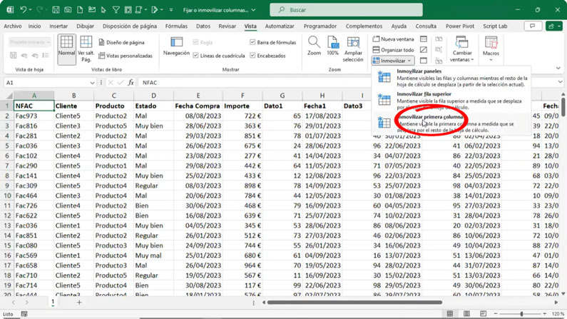 Opción inmovilizar primera columna de Excel