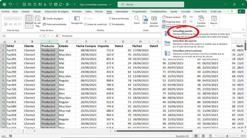 Opción inmovilizar varias columnas de Excel